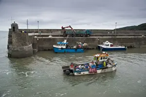 Lorries Prints: Fishing boat entering harbour, with whelks unloaded from fishing boat onto lorry