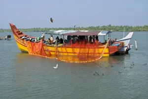 Vessel Prints: Fishing boat with fishermen rolling back nets in brackish lagoon after day fishing at sea
