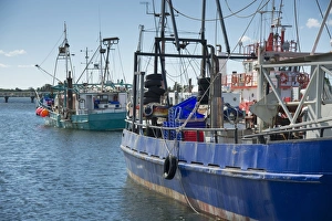Industry Prints: Fishing boats moored at coastal port, Lakes Entrance, Victoria, Australia, February