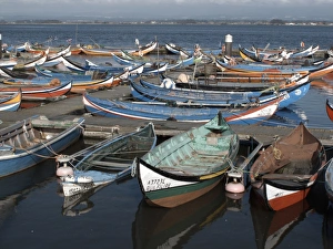 Local Prints: Fishing boats moored at harbour, near Muranzel, Aveiro, Portugal, march