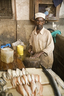 Fishmonger at city fish market, Stonetown, Unguja, Zanzibar, Tanzania
