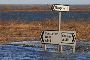 Flood Prints: Flooded coast road and coastal marshland after tidal surge