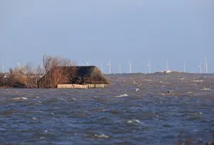 Flood Prints: Flooded coastal marshland habitat and partially submerged birdwatching hide after tidal surge