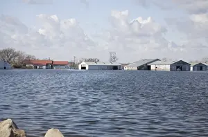 Flood Prints: Flooded farm, caused by heavy rainfall on saturated soil