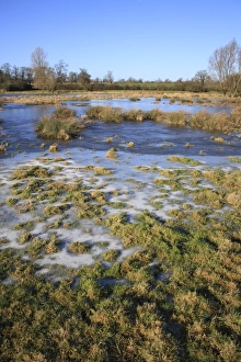 Flooded and frozen unimproved wet grazing meadow, River Dove, Thornham Magna, Suffolk, England, january