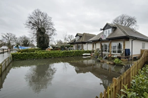 Environmental Prints: Floodwater in house garden during river flood