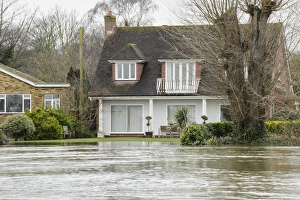 Floodwater in house garden during river flood, River Thames, Chertsey, Surrey, England, February 2014