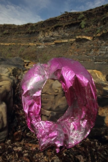 Pollution Prints: Foil balloon washed up on beach strandline