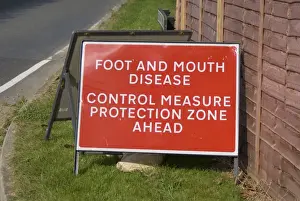 Signposts Prints: Foot And Mouth Disease, Control Measure Protection Zone Ahead sign at roadside