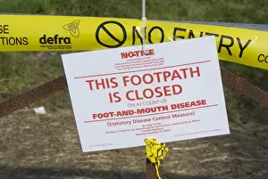 Footpath Prints: This Footpath is Closed on Account of Foot and Mouth Disease sign on gate in farmland