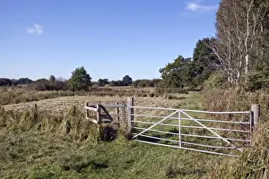 Fence Prints: Footpath through Darsham Marsh, a marshland habitat owned by the Suffolk Wildlife Trust