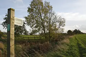 Directions Prints: Footpath direction sign, footpath beside paddock and arable field