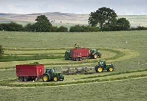 Trailer Prints: Forage harvesting grass for silage