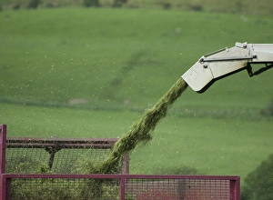 Trailer Prints: Forage harvesting grass for silage