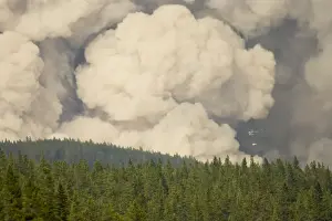 Helicopter Prints: Forest fire, controlled burn with fire setting helicopter, Saskatchewan Valley, Banff N. P