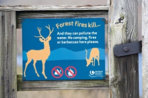 Gates Prints: Forest fires kill warning sign on gate, Lake District N. P. Cumbria, England, February