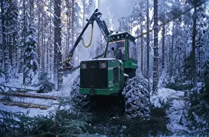 Coniferous Prints: Forestry machine with chains on tyres