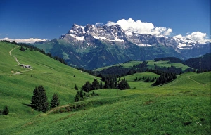 France Alpine Meadow views towards Dents De Midi, France
