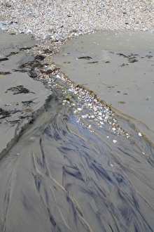 Pebbles Prints: Freshwater flowing from pebbles onto beach, Bembridge, Isle of Wight, England, june
