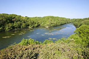 Pembrokeshire Prints: Freshwater ponds in limestone valley, Bosherton Lily Ponds, Stackpole N. N. R