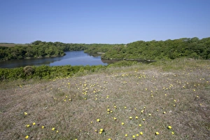 Pembrokeshire Prints: Freshwater ponds in limestone valley from sand dunes