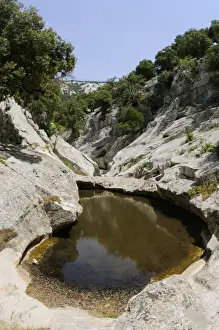 Sardinian Prints: Freshwater pool amongst rocks, habitat of Sardinian Brook Salamander (Euproctus platycephalus)