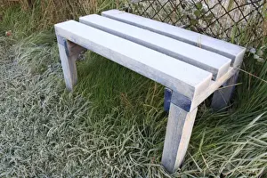 Seats Prints: Frost covered bench at edge of lawn