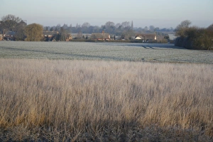 Fallow Prints: Frost covered permanent set-a-side beside arable field, Bacton, Suffolk, England, march
