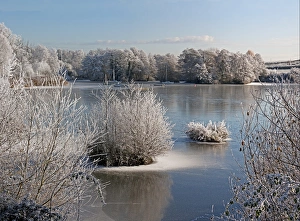 Frosted Prints: Frost covered trees and frozen lake, Upton Warren, Worcestershire, England, december