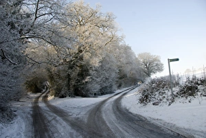 Frosted Prints: Frost and snow covered lane in early morning sunlight