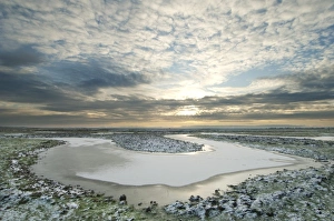 Flood Prints: Frozen flooded rill and snow, Elmley Marshes N