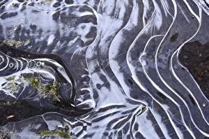 Frozen pool, close-up of ice patterns, Peak District N. P. Derbyshire, England, december