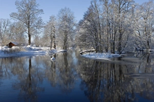 Ices Prints: Frozen river, snow covered bare trees, Sweden, winter