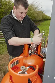 Gamebird Prints: Gamebird farming, gamekeeper altering heating levels on propane gas cylinders at pheasant rearing sheds