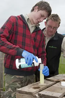 Gamebird Prints: Gamebird farming, trainee gamekeeper watched by tutor