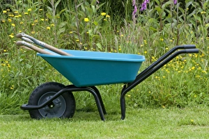 Normandy Prints: Garden wheelbarrow with tools, on lawn beside wildflower border, Normandy, France, May