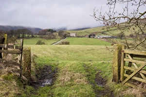 Gateway leading to grass field on hill farm, Chipping, Lancashire, England, January