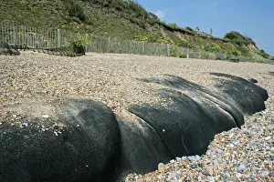 Defence Prints: Geotextile tubes (geotubes) used as coastal cliff erosion defence on shingle beach