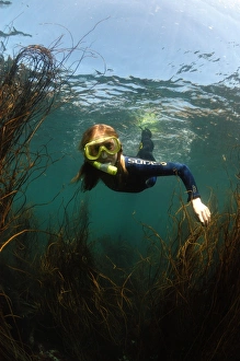 Dive Prints: Girl snorkelling over Sea-thong (Himanthalia elongata)