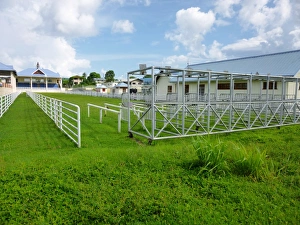 Lesser Antilles Prints: Goat racing track, Buccoo Integrated Facility
