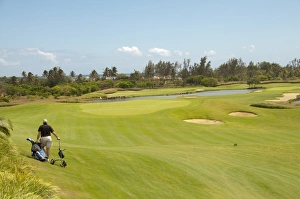 Game Prints: Golfer pulling golf cart across golf course