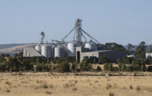 Grain Prints: Grain silos, near Melbourne, Victoria, Australia, February