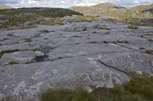 Boulders Prints: Granite boulders on granite slabs