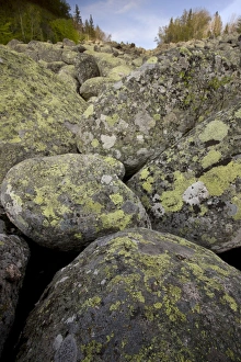 Stones Prints: Granite boulders in stone run, peculiar geomorphological phenomenon formed from granite in periglacial conditions