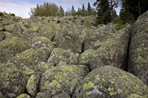 Granite boulders in stone run, peculiar geomorphological phenomenon formed from granite in periglacial conditions