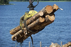 Transports Prints: Grapple loading logs onto timber barge, Archipelago Sea, Baltic Sea, Sweden, june