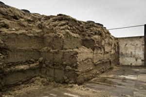 Cultivate Prints: Grass silage clamp, Cheshire, England, January