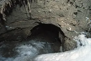 Underground Prints: Grizzly Bear (Ursus arctos horribilis) den entrance, Alaska, U. S. A