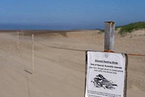 Ground Nesting Birds sign on roped off area, warning visitors to stay clear of nesting area on beach, Thornham