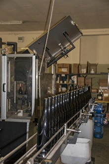 Wines Prints: Guasti Clemente wine bottles waiting to be labelled